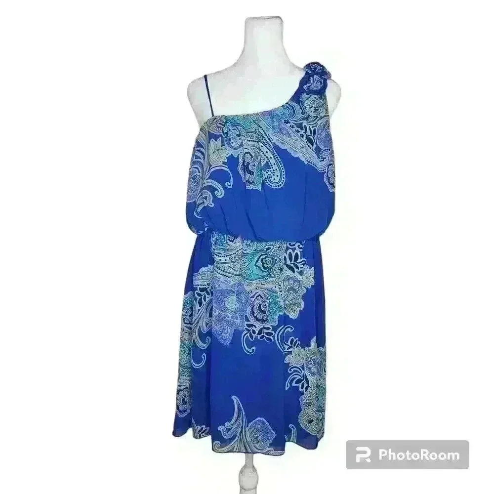 ENFOCUS Studio women's paisley print blue dress size 8